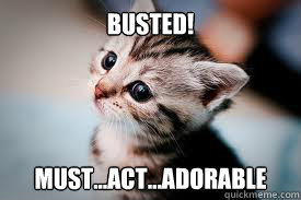BUSTED! Must...act...adorable  