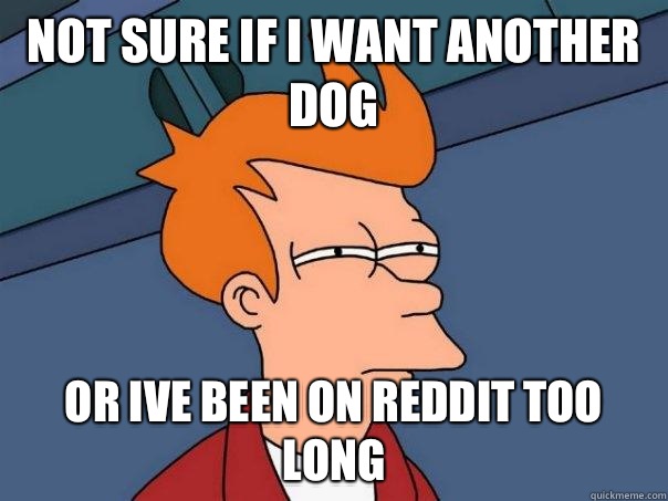 Not sure if I want another dog Or Ive been on reddit too long  Futurama Fry