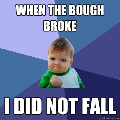 When the bough broke I did not fall  Success Kid