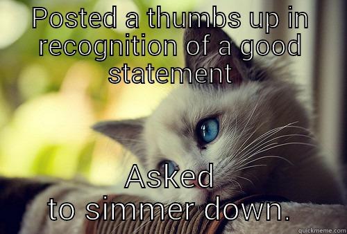 POSTED A THUMBS UP IN RECOGNITION OF A GOOD STATEMENT ASKED TO SIMMER DOWN First World Problems Cat