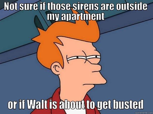 NOT SURE IF THOSE SIRENS ARE OUTSIDE MY APARTMENT OR IF WALT IS ABOUT TO GET BUSTED Futurama Fry