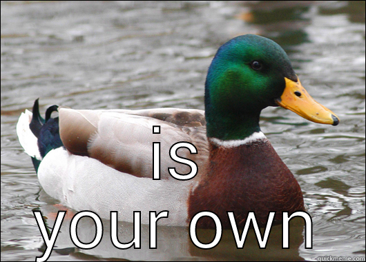  IS YOUR OWN Actual Advice Mallard