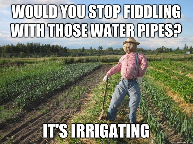 Would you stop fiddling with those water pipes? It's irrigating  Scarecrow