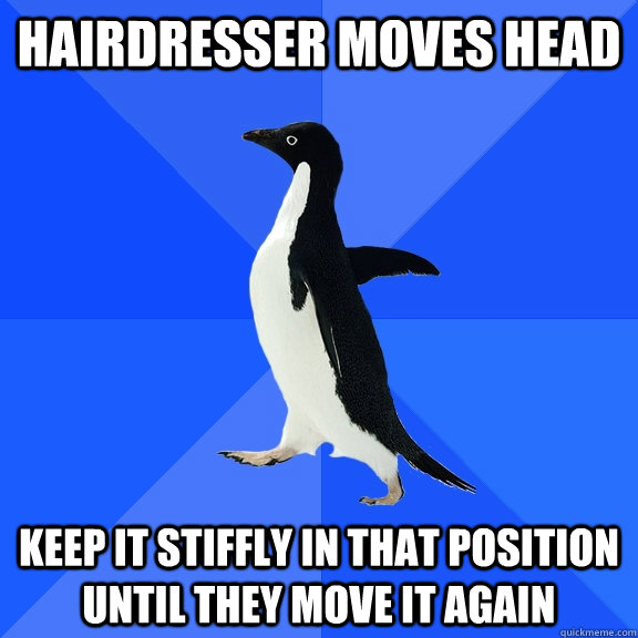 Hairdresser moves head Keep it stiffly in that position until they move it again  Socially Awkward Penguin