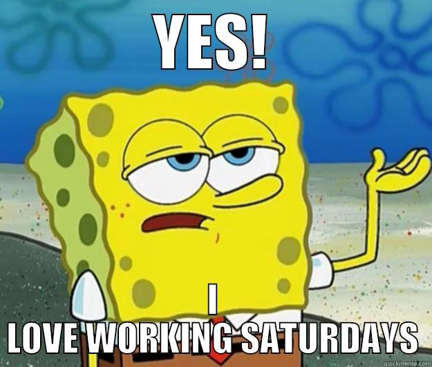 WORKING SATURDAYS - YES! I LOVE WORKING SATURDAYS Tough Spongebob