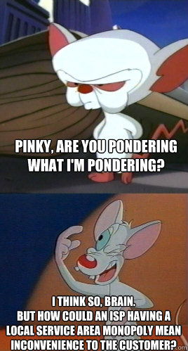 Pinky, are you pondering what I'm pondering? I think so, Brain. 
But how could an ISP having a local service area monopoly mean inconvenience to the customer?  Pinky and the Brain