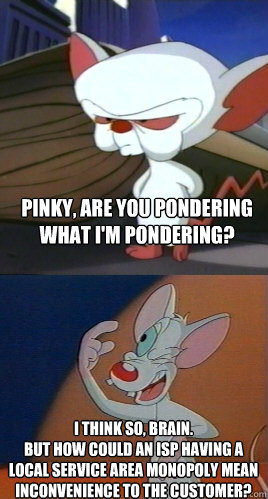 Pinky, are you pondering what I'm pondering? I think so, Brain. 
But how could an ISP having a local service area monopoly mean inconvenience to the customer? - Pinky, are you pondering what I'm pondering? I think so, Brain. 
But how could an ISP having a local service area monopoly mean inconvenience to the customer?  Pinky and the Brain