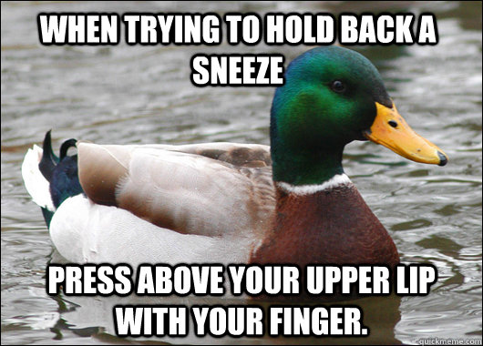 when trying to hold back a sneeze press above your upper lip with your finger. - when trying to hold back a sneeze press above your upper lip with your finger.  Actual Advice Mallard