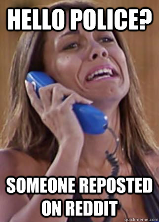 Hello police? someone reposted on reddit - Hello police? someone reposted on reddit  Misc