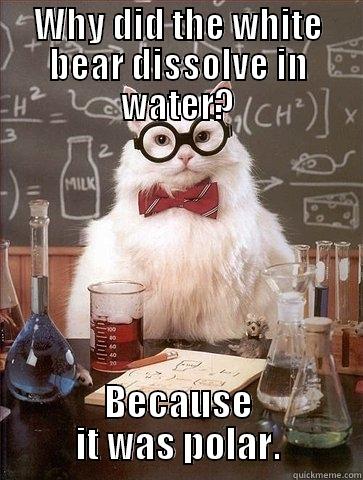 WHY DID THE WHITE BEAR DISSOLVE IN WATER? BECAUSE IT WAS POLAR. Chemistry Cat