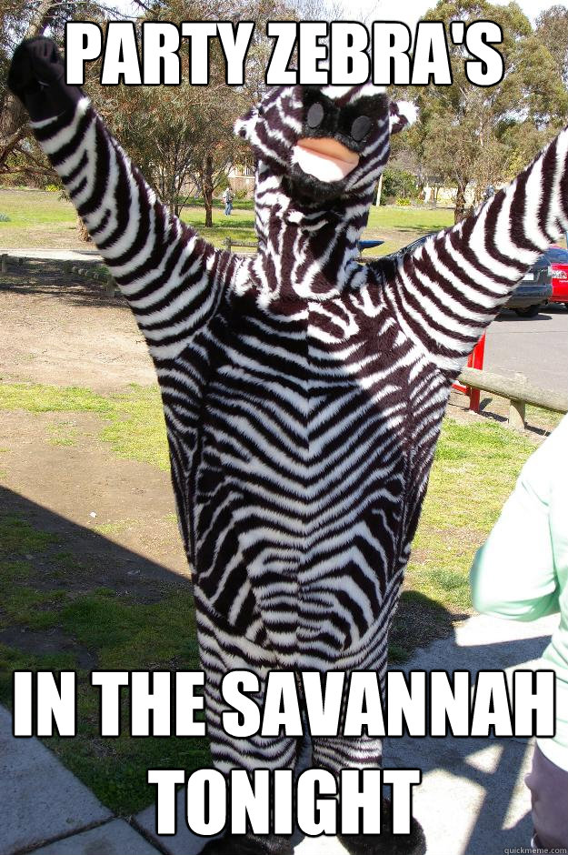 Party Zebra's in the savannah tonight  