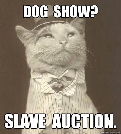 DOG  SHOW? SLAVE  AUCTION.  Aristocat