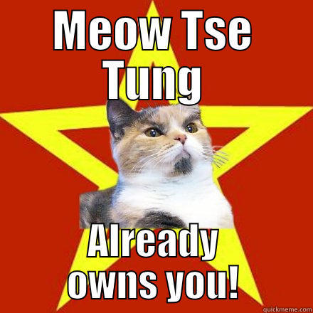 Meow Tse Tung - MEOW TSE TUNG ALREADY OWNS YOU! Lenin Cat