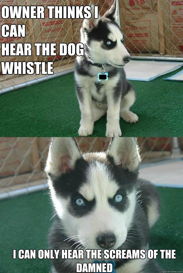 Owner thinks i
can
hear the dog
whistle i can only hear the screams of the damned - Owner thinks i
can
hear the dog
whistle i can only hear the screams of the damned  Insanity puppy