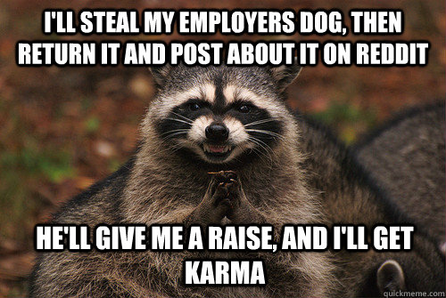 I'll steal my employers dog, then return it and post about it on reddit he'll give me a raise, and I'll get karma  Insidious Racoon 2