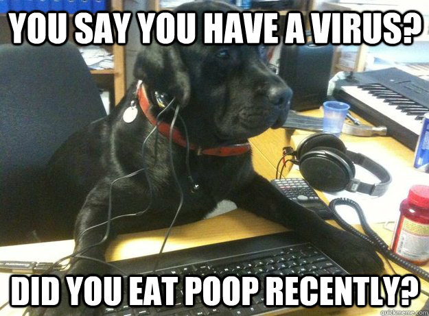 YOU SAY YOU HAVE A VIRUS? DID YOU EAT POOP RECENTLY?  Tech Support Dog