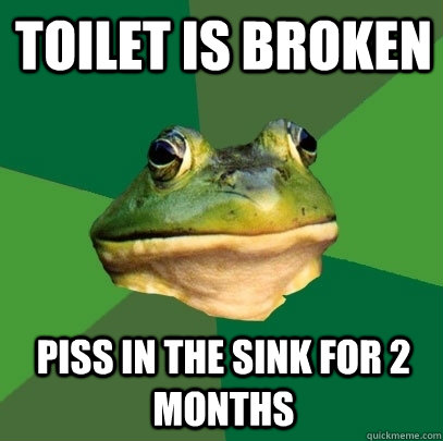 toilet is broken piss in the sink for 2 months  Foul Bachelor Frog