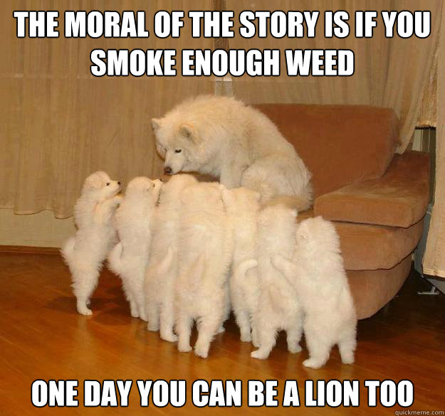 The moral of the story is if you smoke enough weed One day you can be a lion too - The moral of the story is if you smoke enough weed One day you can be a lion too  Misc