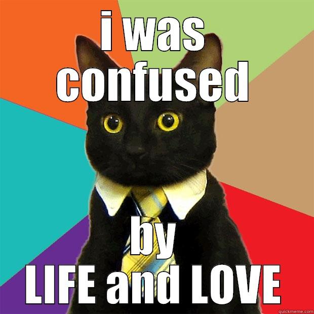 I WAS CONFUSED BY LIFE AND LOVE Business Cat