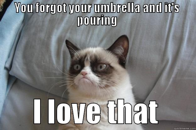 YOU FORGOT YOUR UMBRELLA AND IT'S POURING I LOVE THAT Grumpy Cat
