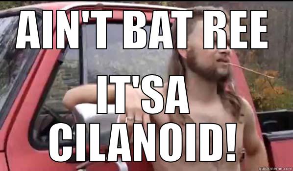 AIN'T BAT REE IT'SA CILANOID! Almost Politically Correct Redneck