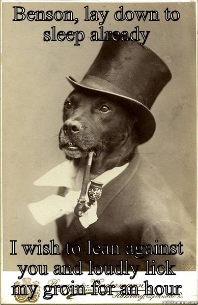 Benson, lay down already I wish to lay against you and lucky my groin for an hour - BENSON, LAY DOWN TO SLEEP ALREADY I WISH TO LEAN AGAINST YOU AND LOUDLY LICK MY GROIN FOR AN HOUR Old Money Dog