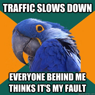 traffic slows down everyone behind me thinks it's my fault  Paranoid Parrot