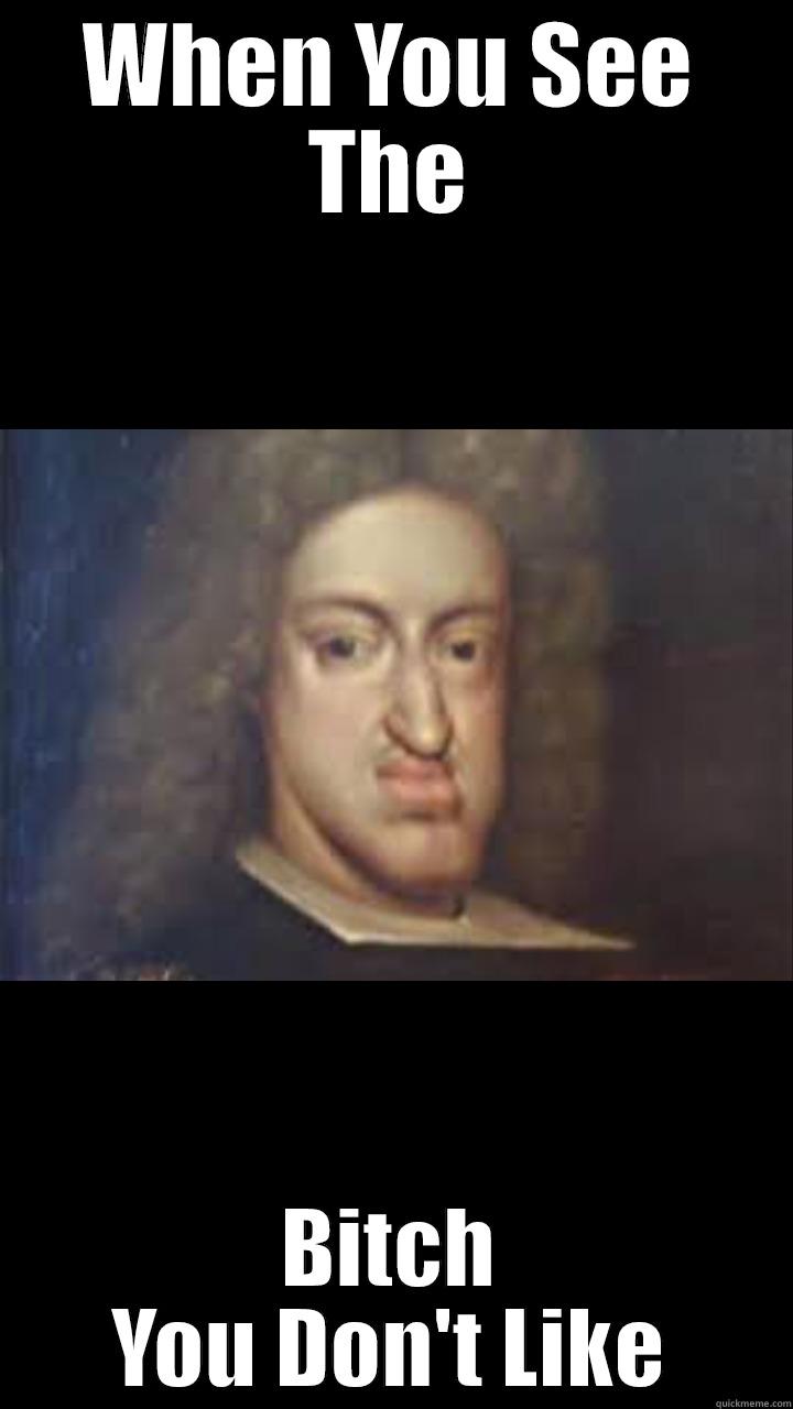 WHEN YOU SEE THE BITCH YOU DON'T LIKE Misc