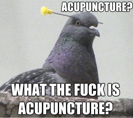 acupuncture?  What the fuck is acupuncture?  