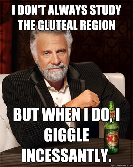 I don't always study the gluteal region but when I do, i giggle incessantly.  The Most Interesting Man In The World