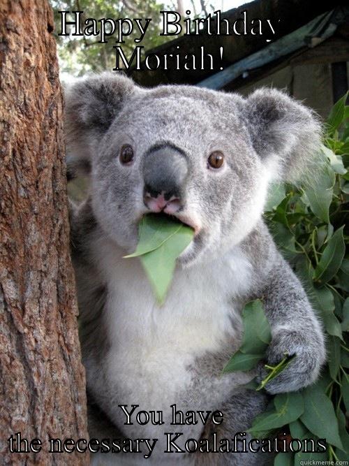 HAPPY BIRTHDAY MORIAH! YOU HAVE THE NECESSARY KOALAFICATIONS  koala bear