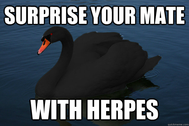 surprise your mate with herpes - surprise your mate with herpes  Bad Releationship Advice Swan