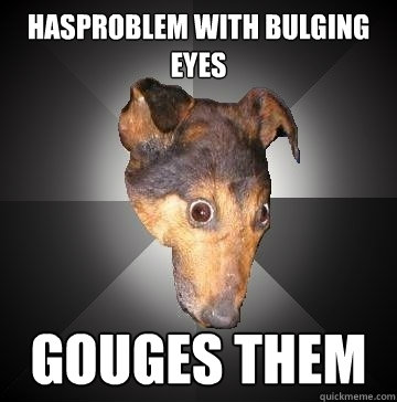 hasproblem with bulging eyes gouges them - hasproblem with bulging eyes gouges them  Depression Dog