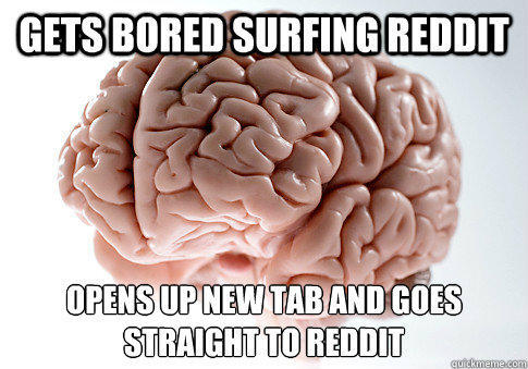Gets bored surfing Reddit Opens up new tab and goes straight to Reddit   Scumbag Brain