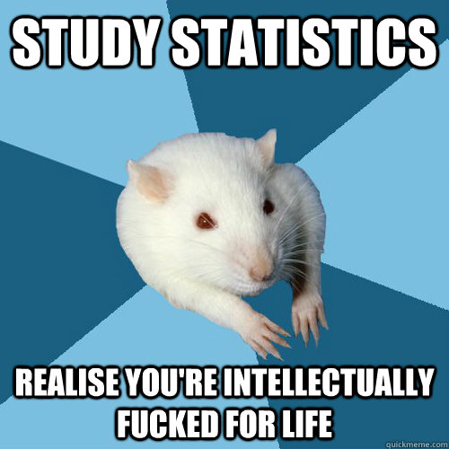 Study statistics Realise you're intellectually fucked for life  Psychology Major Rat