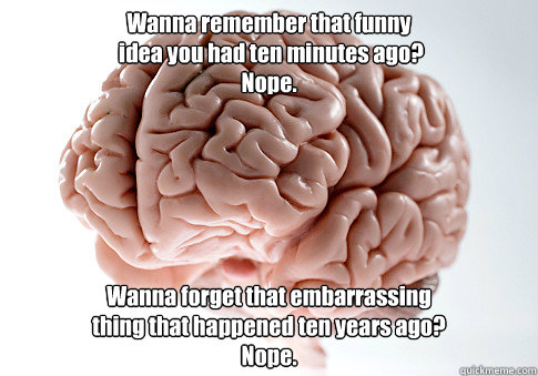 Wanna remember that funny
 idea you had ten minutes ago?
Nope. Wanna forget that embarrassing 
thing that happened ten years ago?
Nope.   Scumbag Brain