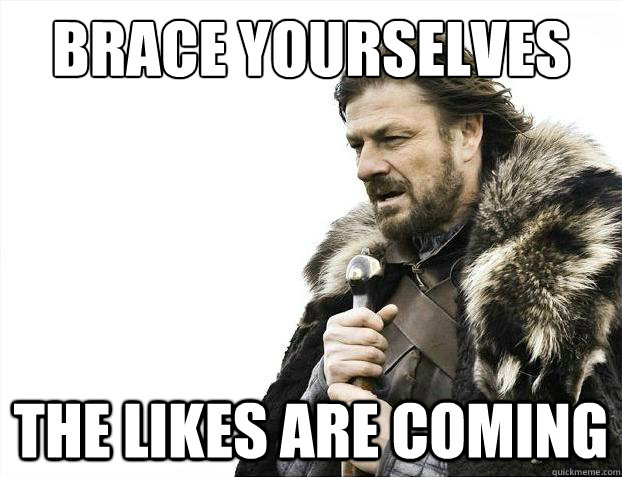 Brace yourselves The likes are coming  Brace Yourselves - Borimir