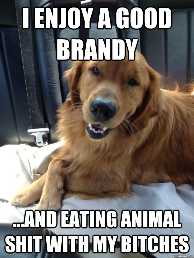 I enjoy a good brandy ...and eating animal shit with my bitches - I enjoy a good brandy ...and eating animal shit with my bitches  Sophisticated Dog