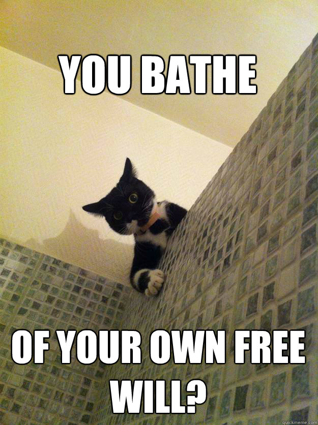 You bathe of your own free will?  Incredulous Cat