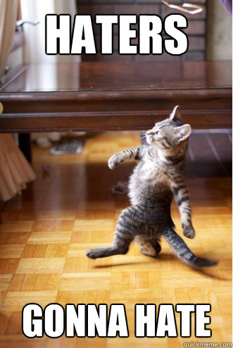 Haters Gonna Hate - Haters Gonna Hate  Strutting Cat
