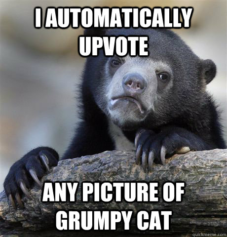 I automatically upvote Any picture of grumpy cat  Confession Bear