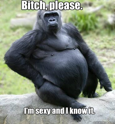 Bitch, please. I'm sexy and I know it.  