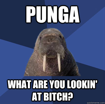Punga What are you lookin' at bitch?  Web Developer Walrus