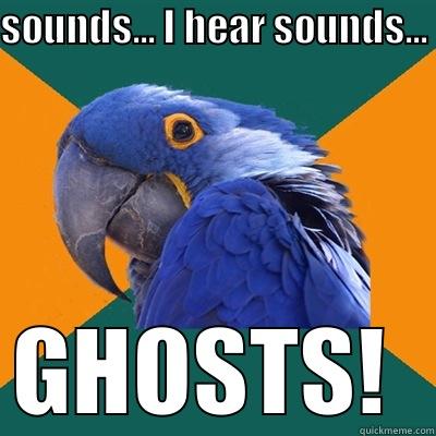 SOUNDS... I HEAR SOUNDS... GHOSTS!  Paranoid Parrot