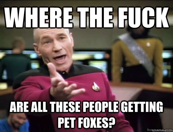 where the fuck are all these people getting pet foxes?  Annoyed Picard HD