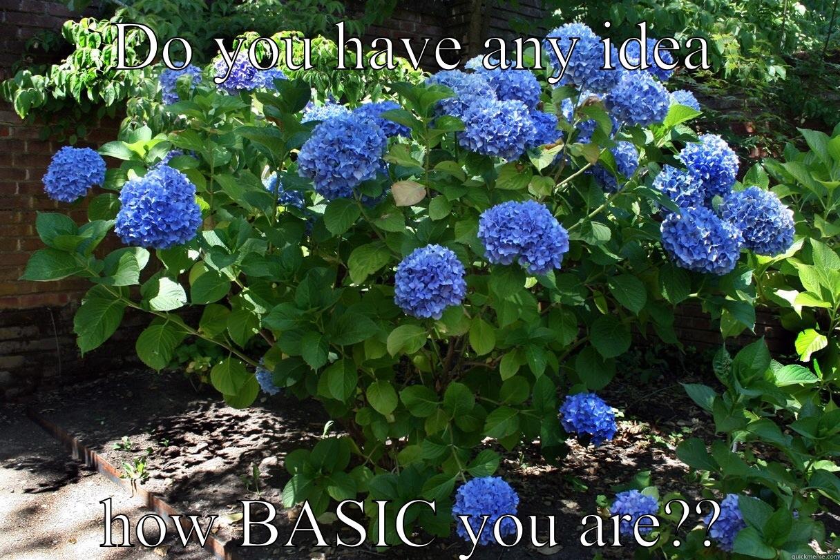 DO YOU HAVE ANY IDEA HOW BASIC YOU ARE?? Misc