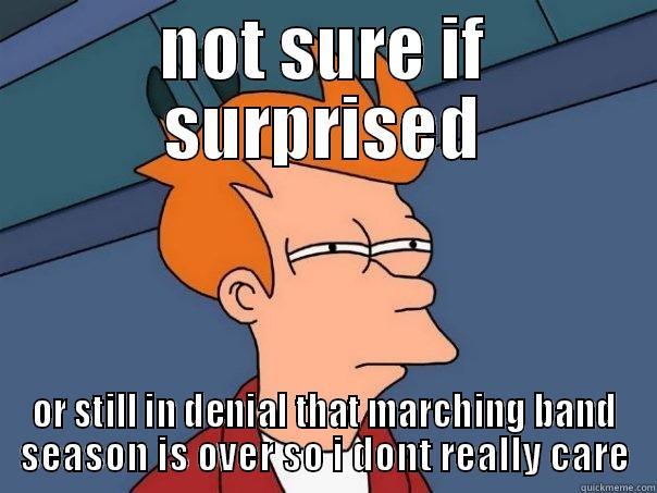 NOT SURE IF SURPRISED OR STILL IN DENIAL THAT MARCHING BAND SEASON IS OVER SO I DONT REALLY CARE Futurama Fry