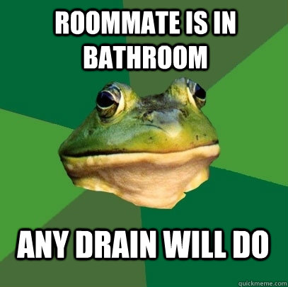 roommate is in bathroom any drain will do  Foul Bachelor Frog