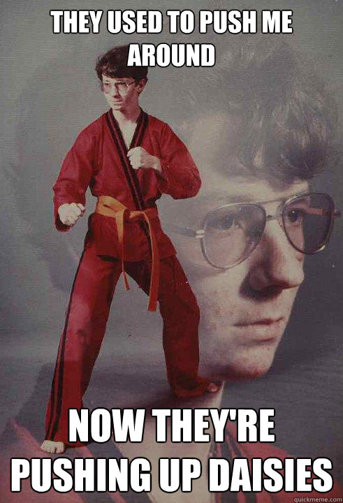they used to push me around Now they're pushing up daisies  Karate Kyle