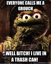everyone calls me a grouch ...well bitch! i live in a trash can!  
